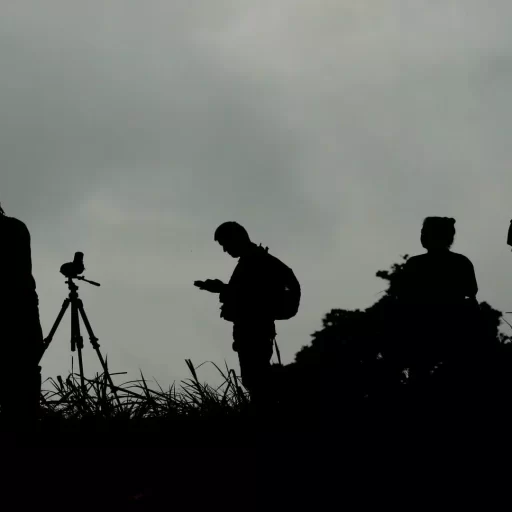 1- birders