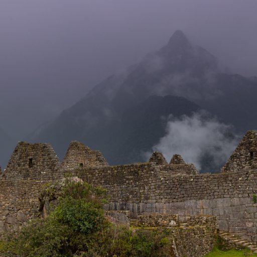 _MG_5012