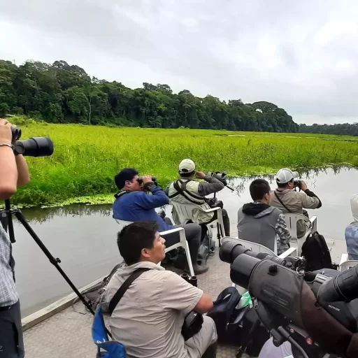 Pichitankas birders